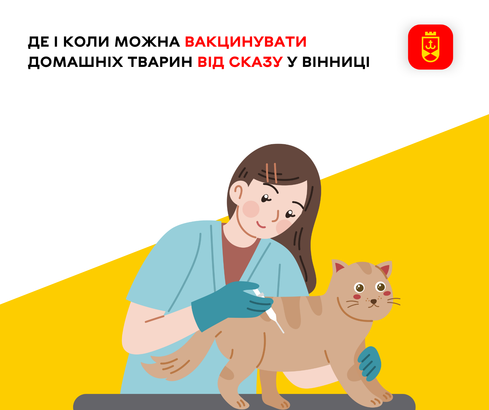 Графік вакцинування домашніх тварин від сказу у Вінниці